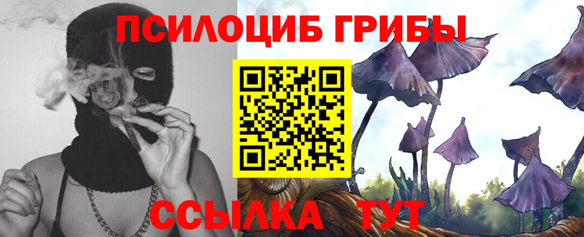 Сызрань  Псилоцибиновые грибы прущие грибы  Вход с VPN  Галлюциногенные грибы мицелий 